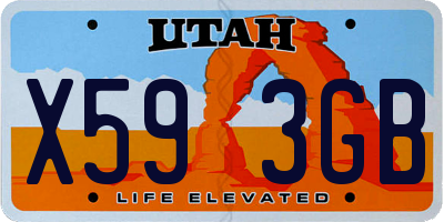 UT license plate X593GB