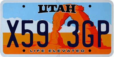 UT license plate X593GP
