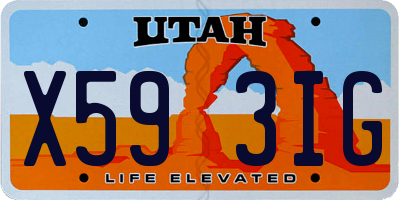 UT license plate X593IG