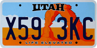 UT license plate X593KC