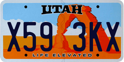 UT license plate X593KX
