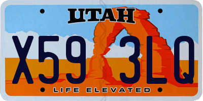 UT license plate X593LQ