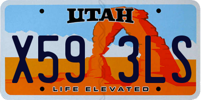 UT license plate X593LS