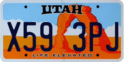UT license plate X593PJ