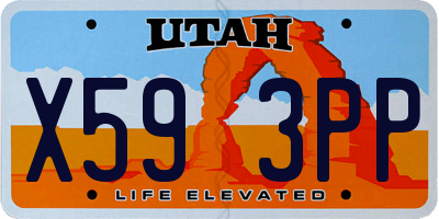 UT license plate X593PP