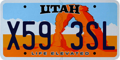 UT license plate X593SL