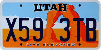 UT license plate X593TB