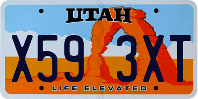 UT license plate X593XT