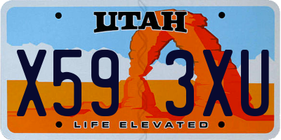 UT license plate X593XU