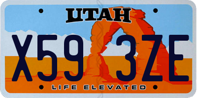 UT license plate X593ZE