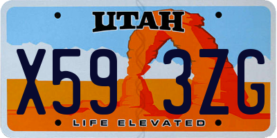 UT license plate X593ZG