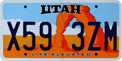 UT license plate X593ZM