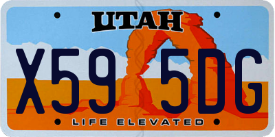 UT license plate X595DG