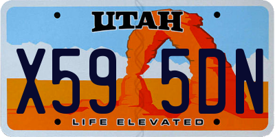 UT license plate X595DN