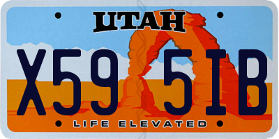UT license plate X595IB