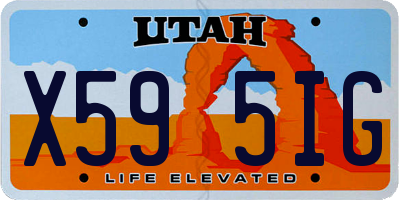 UT license plate X595IG