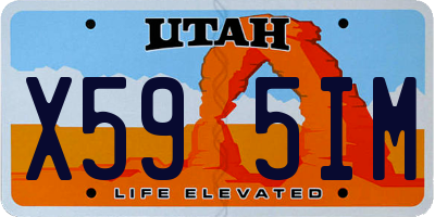 UT license plate X595IM