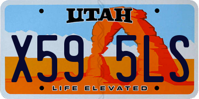 UT license plate X595LS