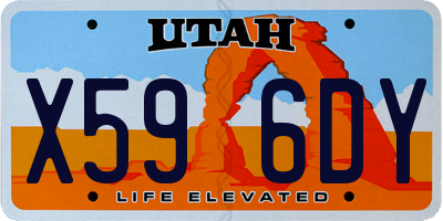 UT license plate X596DY