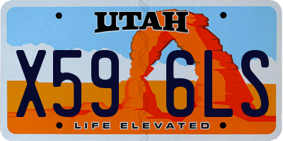 UT license plate X596LS