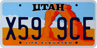 UT license plate X599CE