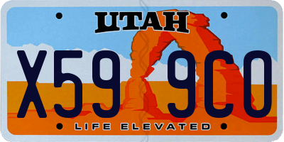 UT license plate X599CO