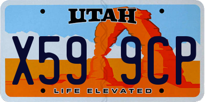UT license plate X599CP
