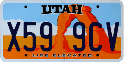 UT license plate X599CV