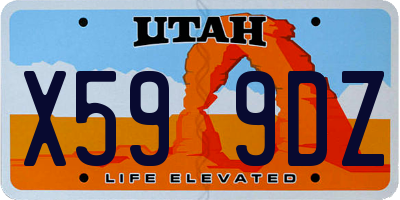 UT license plate X599DZ