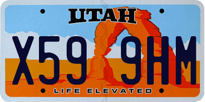 UT license plate X599HM