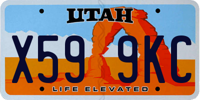 UT license plate X599KC