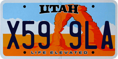 UT license plate X599LA