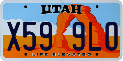 UT license plate X599LO