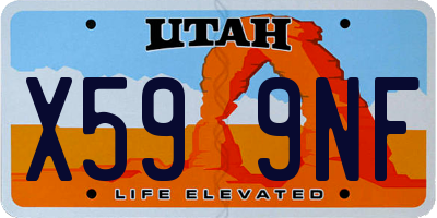 UT license plate X599NF