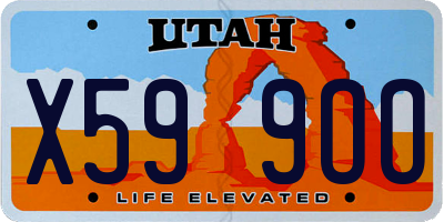 UT license plate X599OO