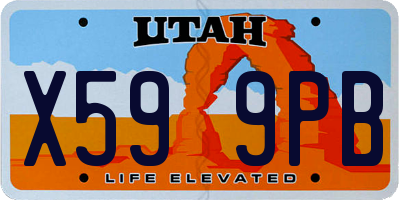 UT license plate X599PB