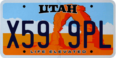 UT license plate X599PL