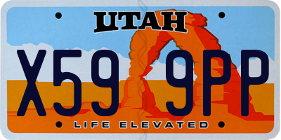 UT license plate X599PP