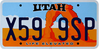 UT license plate X599SP