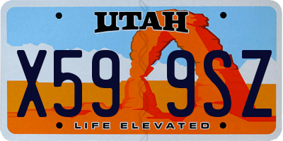 UT license plate X599SZ