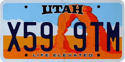 UT license plate X599TM