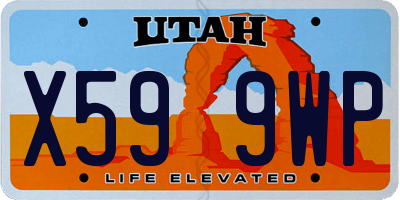 UT license plate X599WP