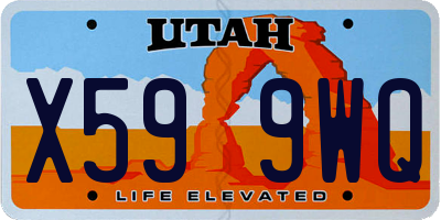 UT license plate X599WQ
