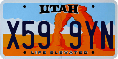 UT license plate X599YN