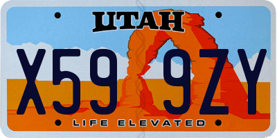 UT license plate X599ZY