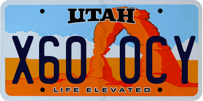 UT license plate X600CY