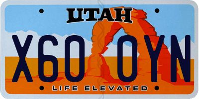 UT license plate X600YN