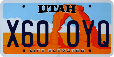 UT license plate X600YQ