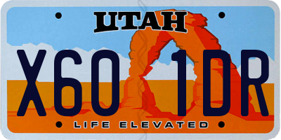 UT license plate X601DR