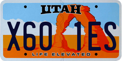 UT license plate X601ES
